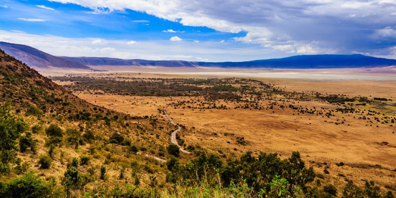 Parc Tanzanie - Tailormade Travels - Organisateur de voyage sure mesure